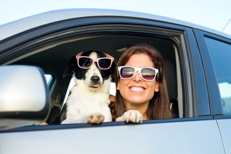 dog and woman, both wearing sunglasses, looking out driver's side window