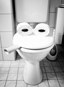smiling toilet