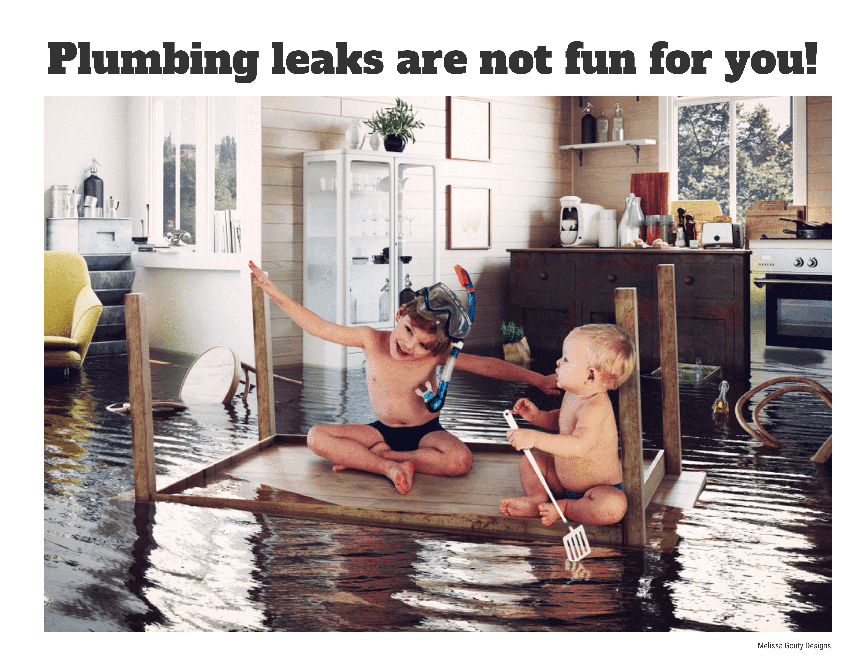 Plumbing Leaks With Caption