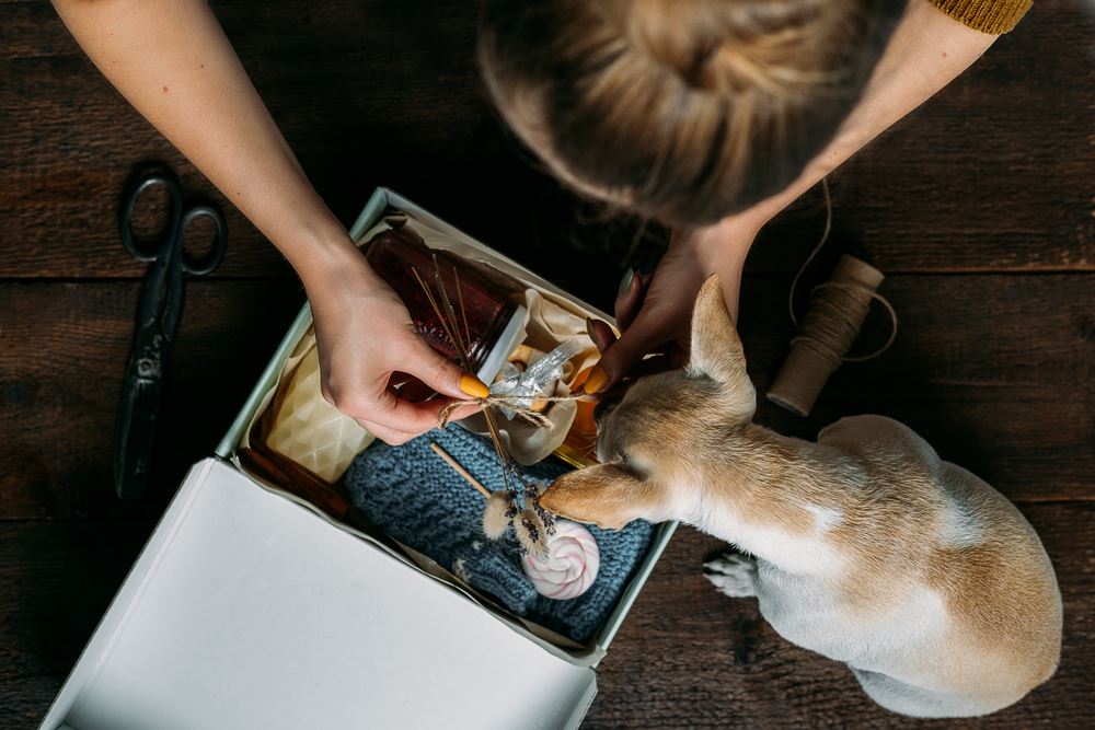 dog and owner looking into subscription box