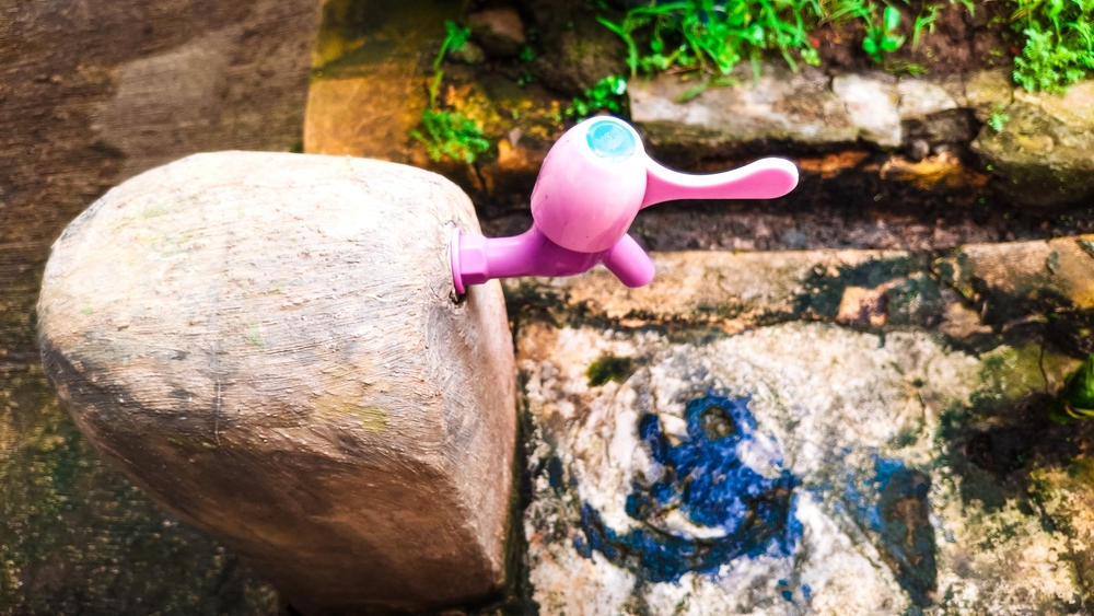 A quirky, pink, duck-head like faucet in a rock