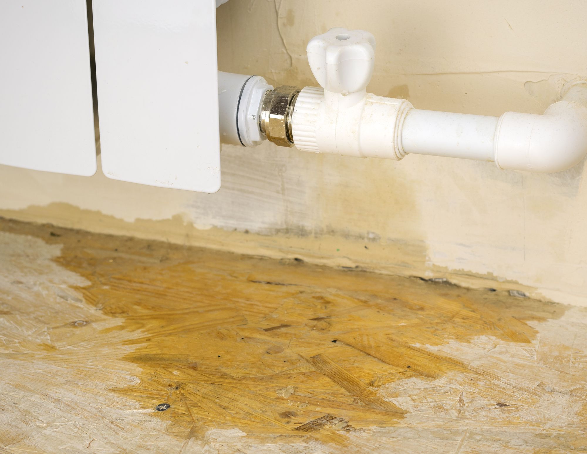 How to detect water leaks in your home