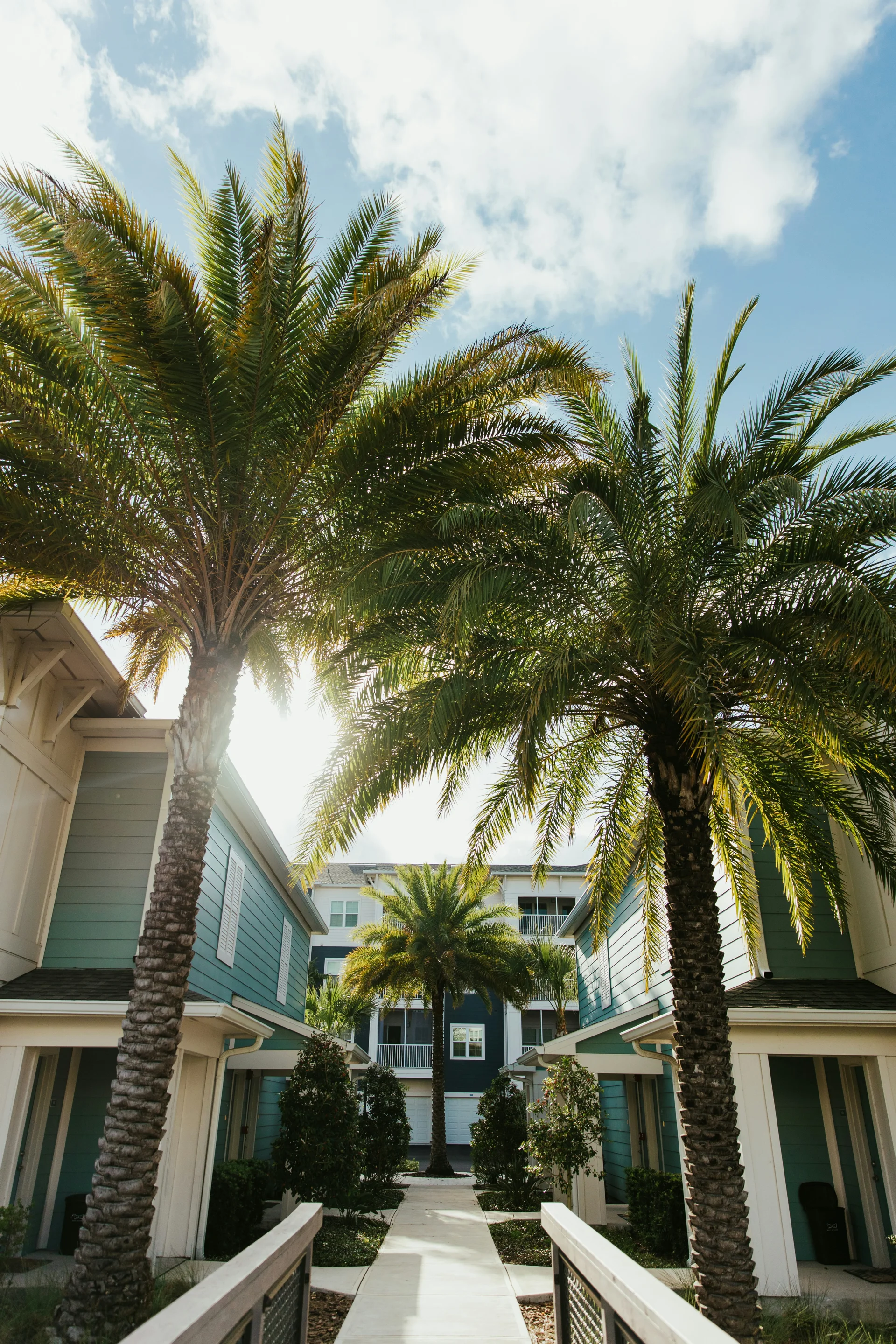 Large palm trees outside a Florida apartment complex