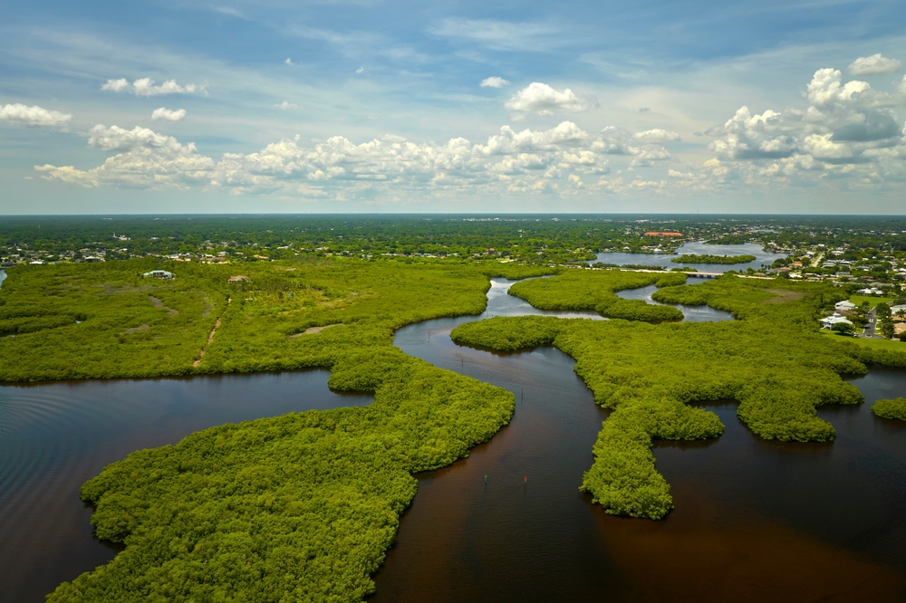 florida water in canals